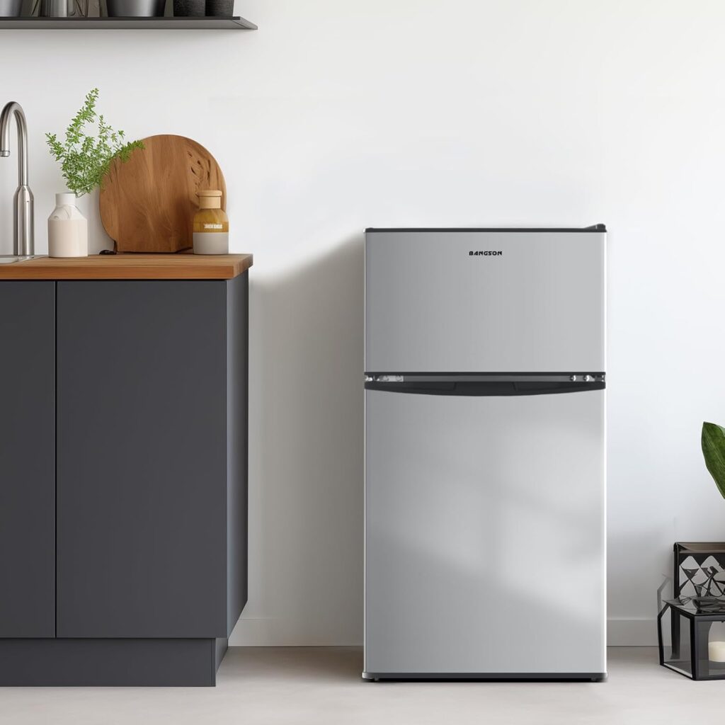 BANGSON Mini Fridge 2